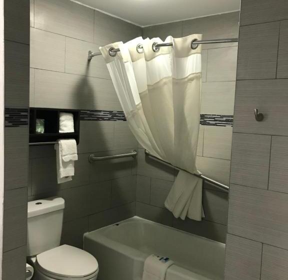 适合残疾人士使用的带超级大床的标准间, Rodeway Inn South