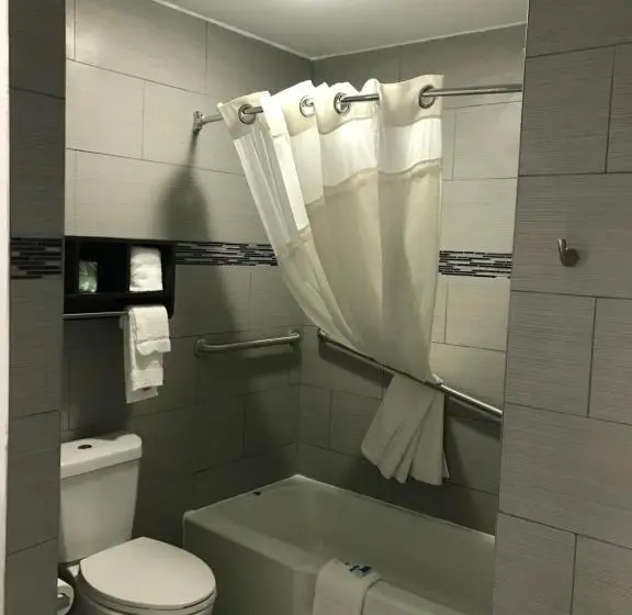 身障者適用キングサイズベッドルーム, Rodeway Inn South