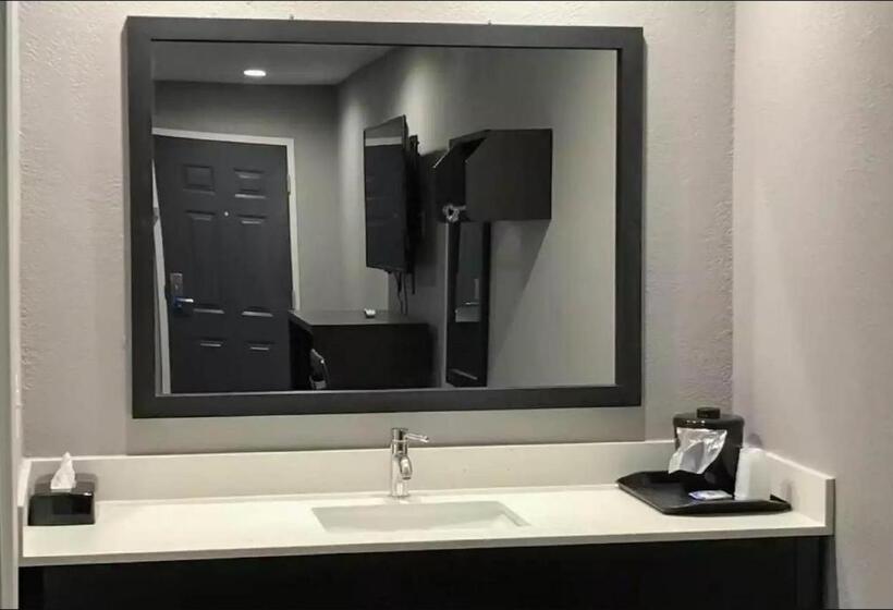 Номер Стандарт Кровать Кинг Адаптированный для Инвалидов, Rodeway Inn South