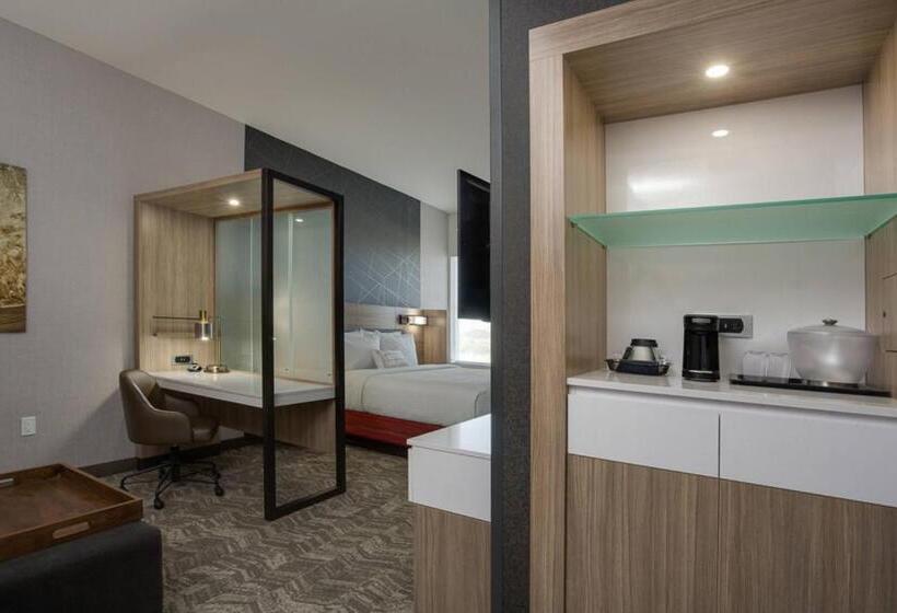 جناح سرير كينج, Springhill Suites By Marriott Fort Lauderdale Miramar