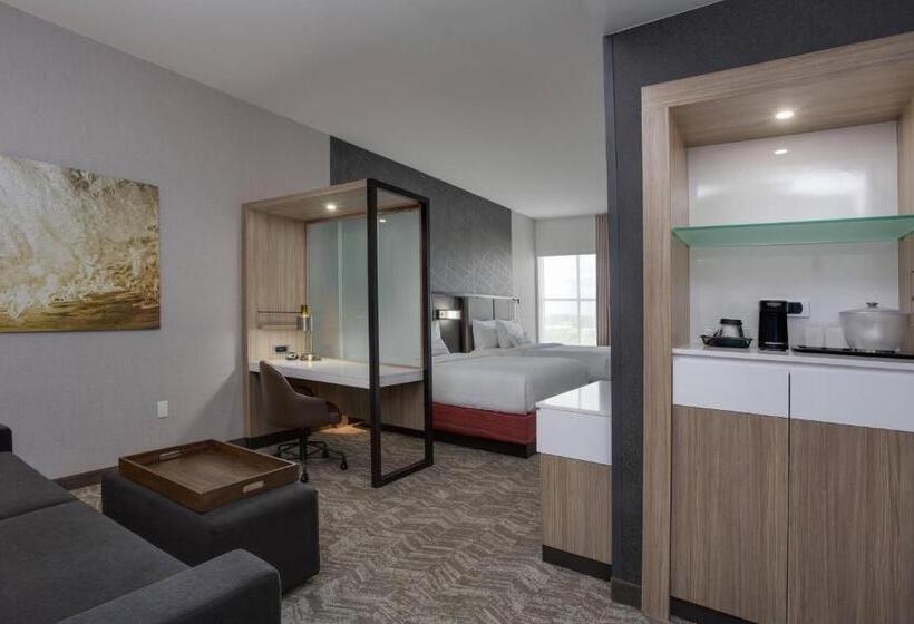 جناح لذوى الاحتياجات الخاصة, Springhill Suites By Marriott Fort Lauderdale Miramar