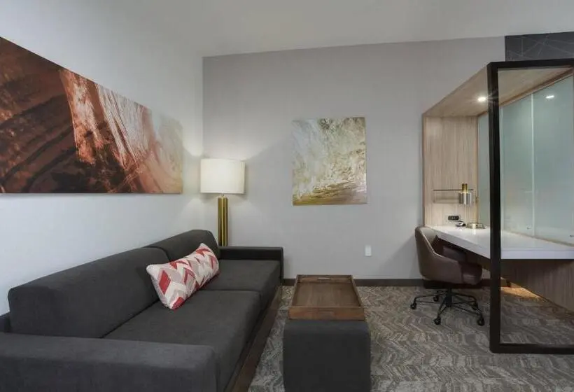 身障者適用スイートルーム, Springhill Suites By Marriott Fort Lauderdale Miramar