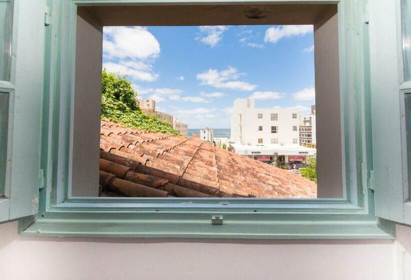 جناح سوبيريور مطل علي البحر, Tas D Viaje Suites   Hostel Boutique