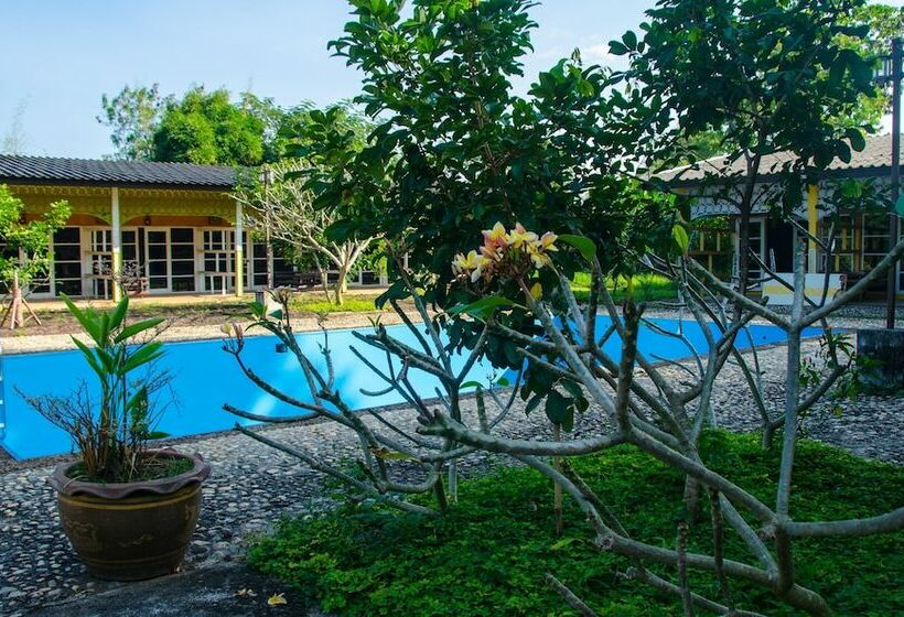 수피리어 룸 풀장 전망, Yoga Art Home