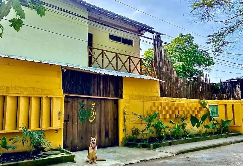 スイート（家族用）, Necoliving Suites