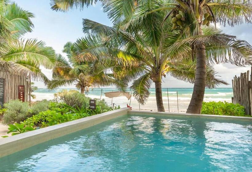 ‫فيلا غرفة نوم واحدة, Casa Ganesh Tulum