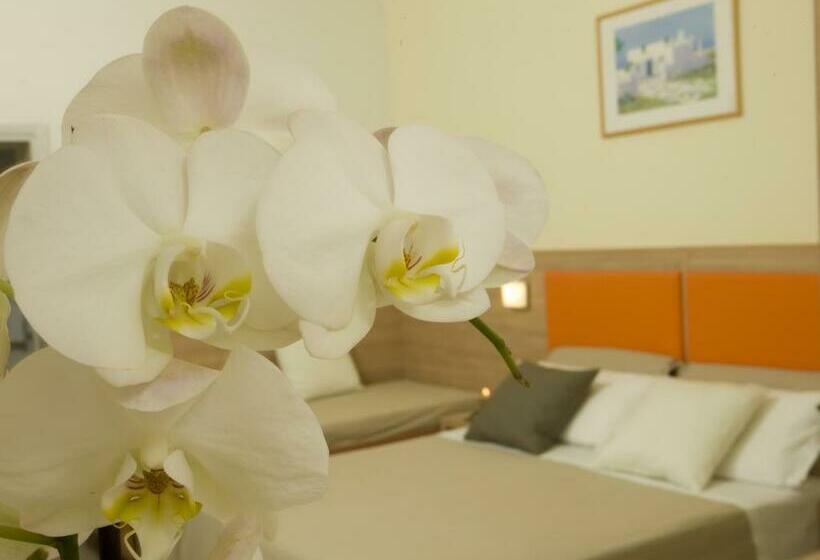 スタンダードシングルルーム, Consuelo