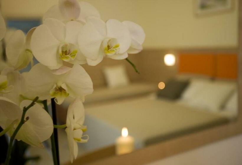 スタンダードルーム, Consuelo