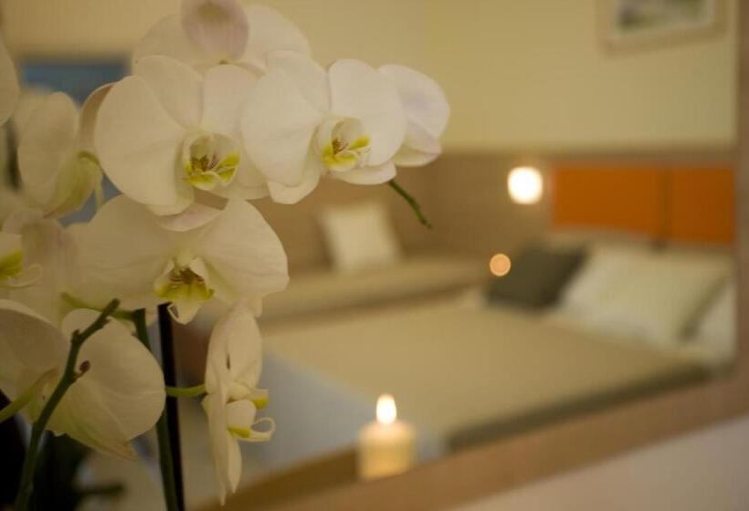 スタンダード4人部屋, Consuelo