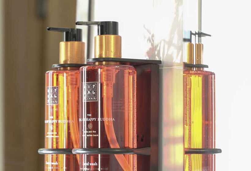 اتاق خانوادگی, H10 Casa de La Plata