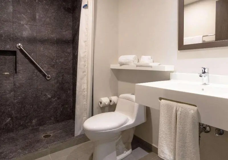 スイート, Holiday Inn Express And Suites Dalhart By Ihg