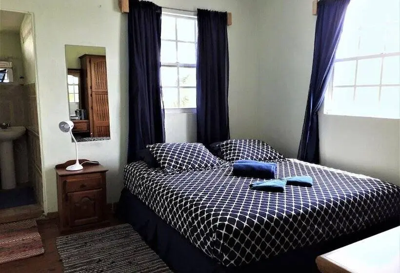 آپارتمان 1 خوابه با چشم‌انداز دریا, Miller's Guest House