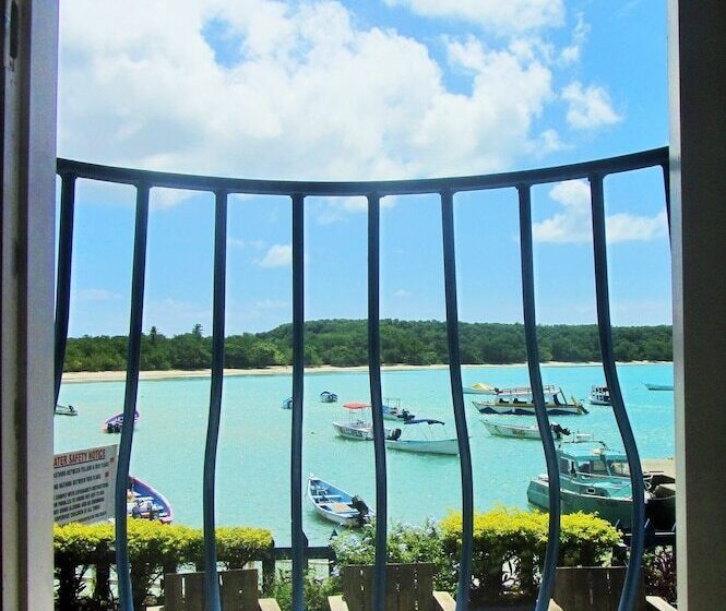 آپارتمان 1 خوابه با چشم‌انداز دریا, Miller's Guest House