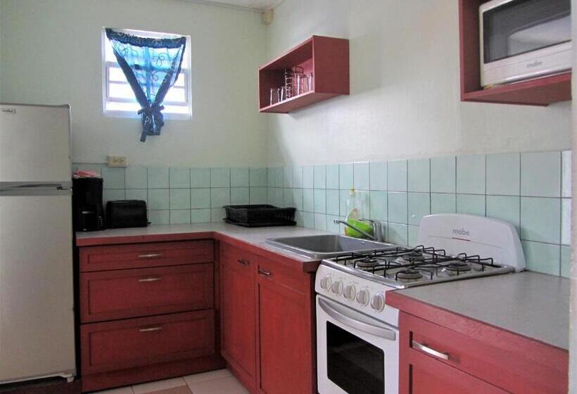 آپارتمان 1 خوابه با چشم‌انداز دریا, Miller's Guest House