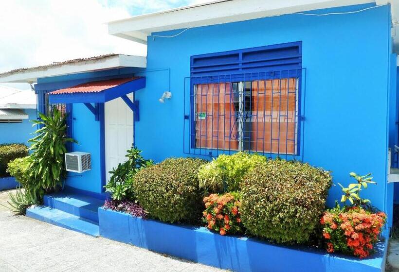 Camera Standard, Miller's Guest House