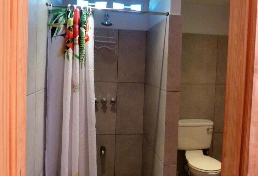 Camera Standard, Miller's Guest House