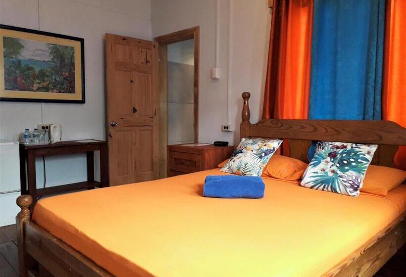 Camera Standard, Miller's Guest House