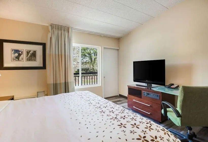 デラックスルーム, Fairmount Inn & Suites   Stroudsburg, Poconos