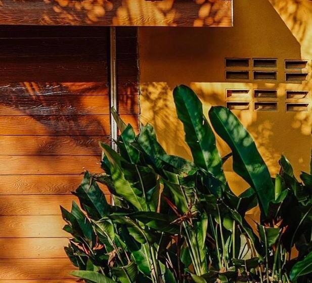 غرفة ديلوكس مزودة بشرفة, Little Eden Bungalows