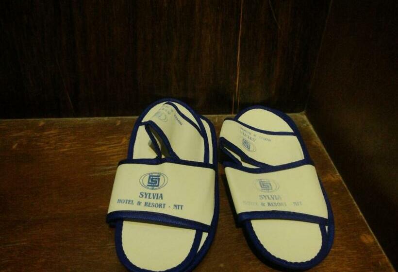 이코노미 룸, Sylvia Hotel Premier Kupang