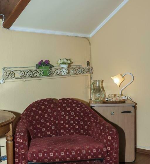 غرفة قياسية, Bellevue Budapest B&b