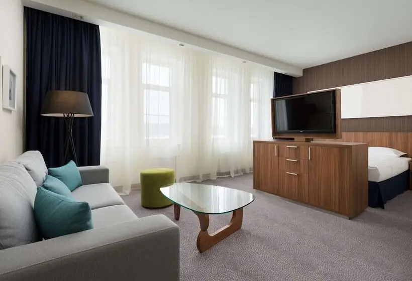 スタンダードスタジオ, Radisson Residences, Zavidovo