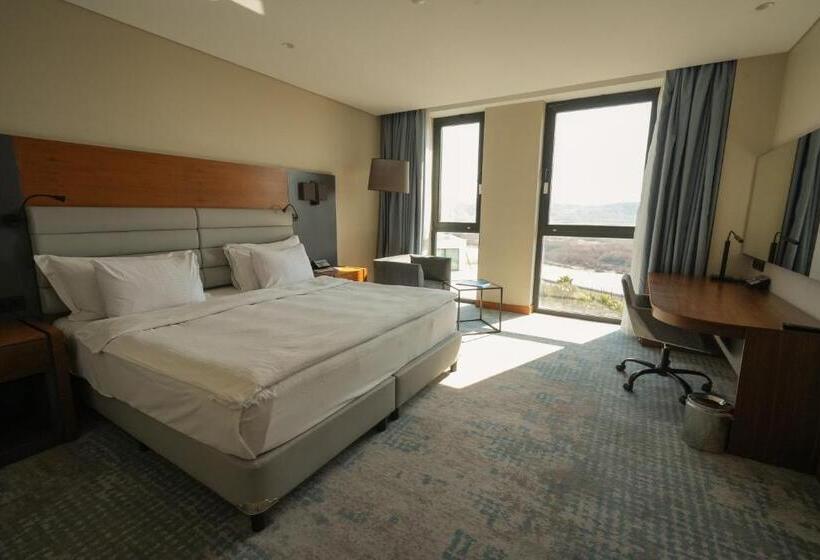 Полулюкс, Dedeman Cizre