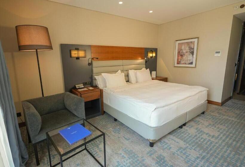 Номер Superior, Dedeman Cizre