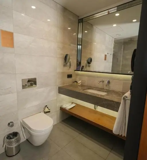 اتاق استاندارد, Dedeman Cizre