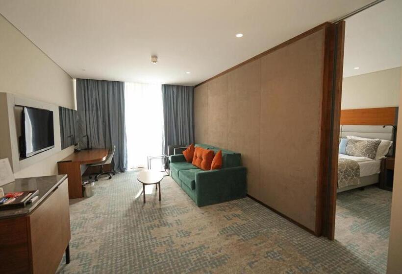 Полулюкс, Dedeman Cizre