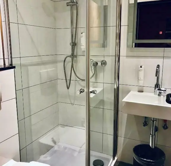 Standard Single Room, Weingut Dehren