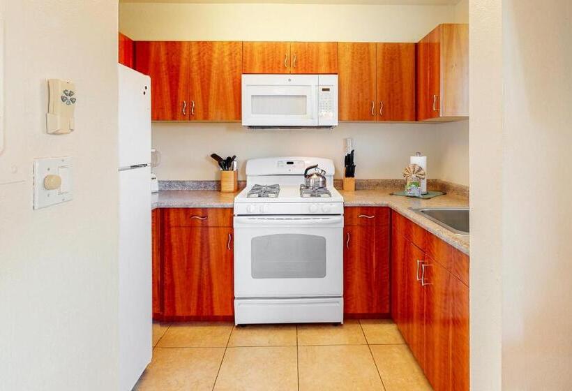 标准工作室, Kihei Akahi