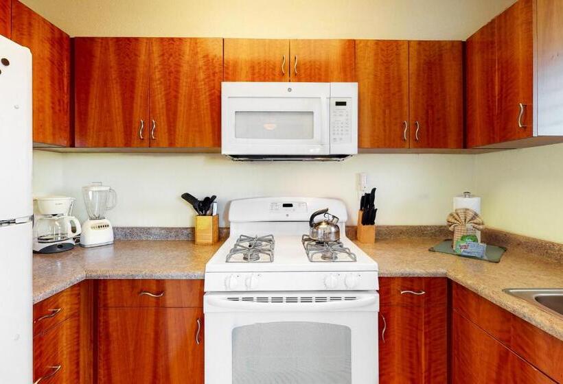 标准工作室, Kihei Akahi