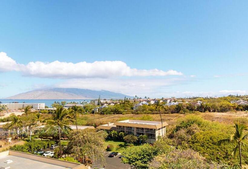 标准工作室, Kihei Akahi