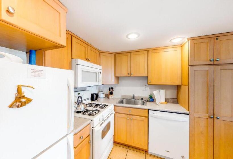 带1个卧室的公寓, Kihei Akahi