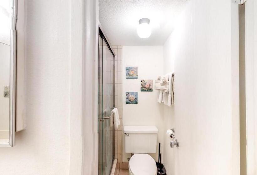 带1个卧室的公寓, Kihei Akahi