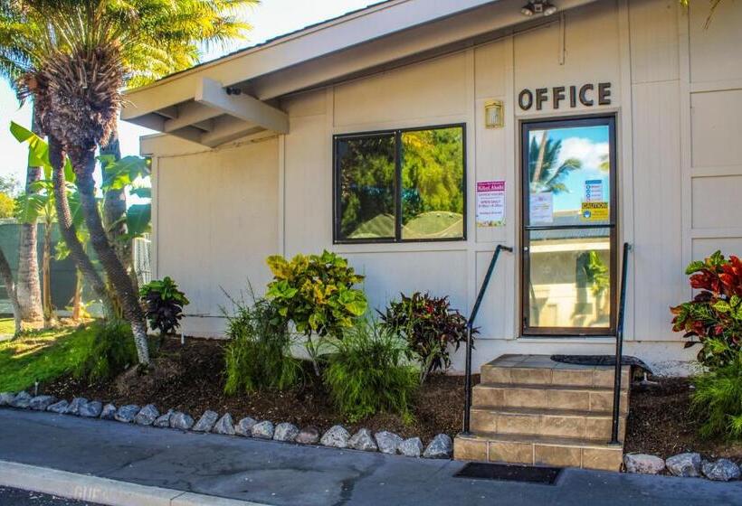 带1个卧室的公寓, Kihei Akahi