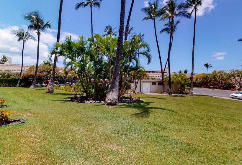 带1个卧室的公寓, Kihei Akahi