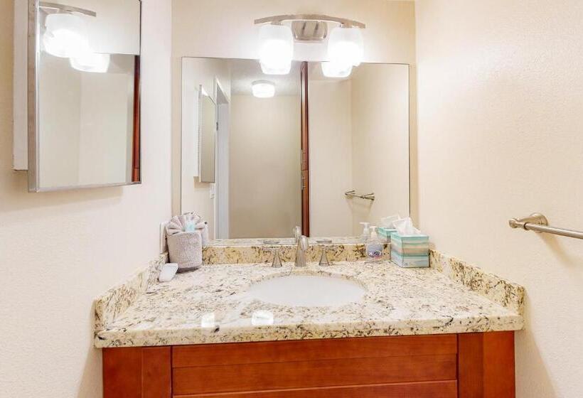 带1个卧室的公寓, Kihei Akahi