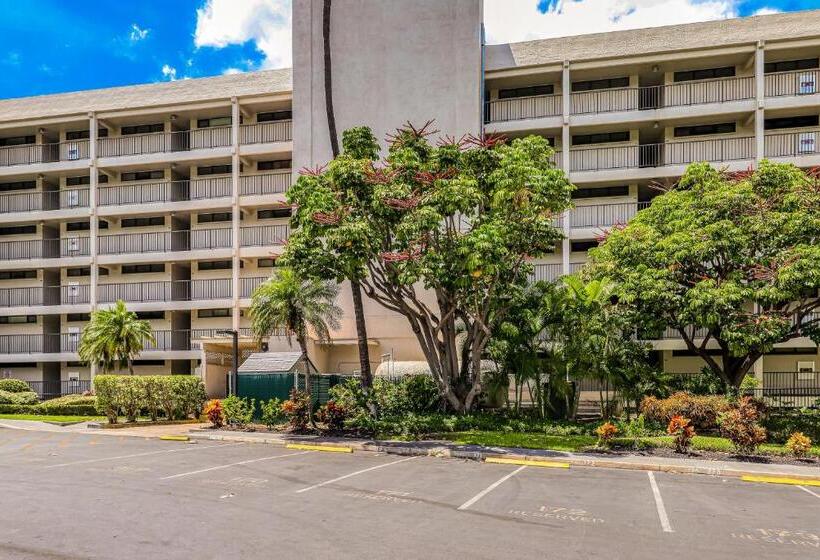 标准工作室, Kihei Akahi