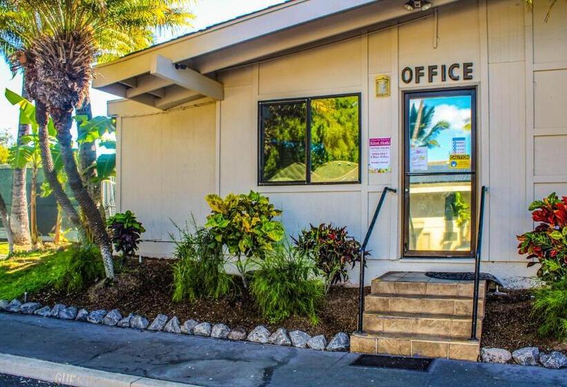 标准工作室, Kihei Akahi