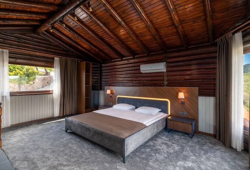 חדר דופלקס, Assos Kartal Yuvasi