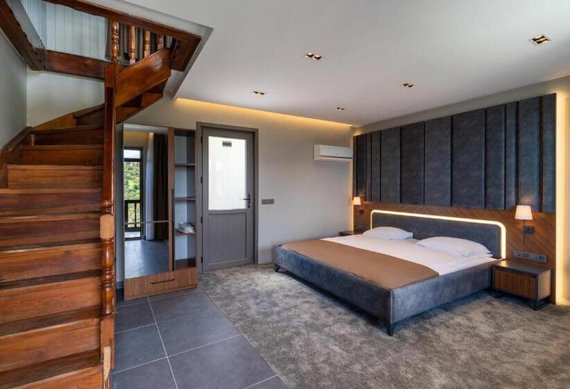 غرفة دوبلكس, Assos Kartal Yuvasi