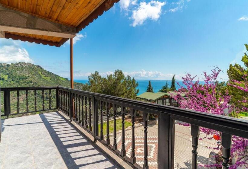 غرفة قياسية, Assos Kartal Yuvasi