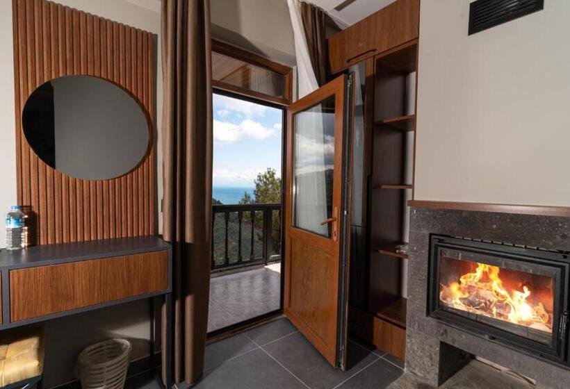 غرفة قياسية, Assos Kartal Yuvasi