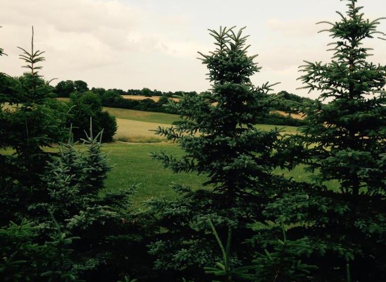 ファミリールーム, Gästehaus Hannelore