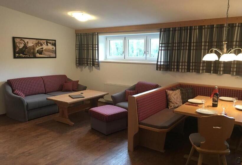 Апартаменты 1 Спальня, Haus Zangerl