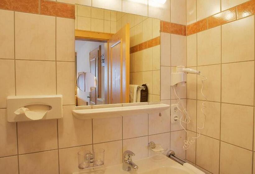 Апартаменты 1 Спальня, Haus Zangerl