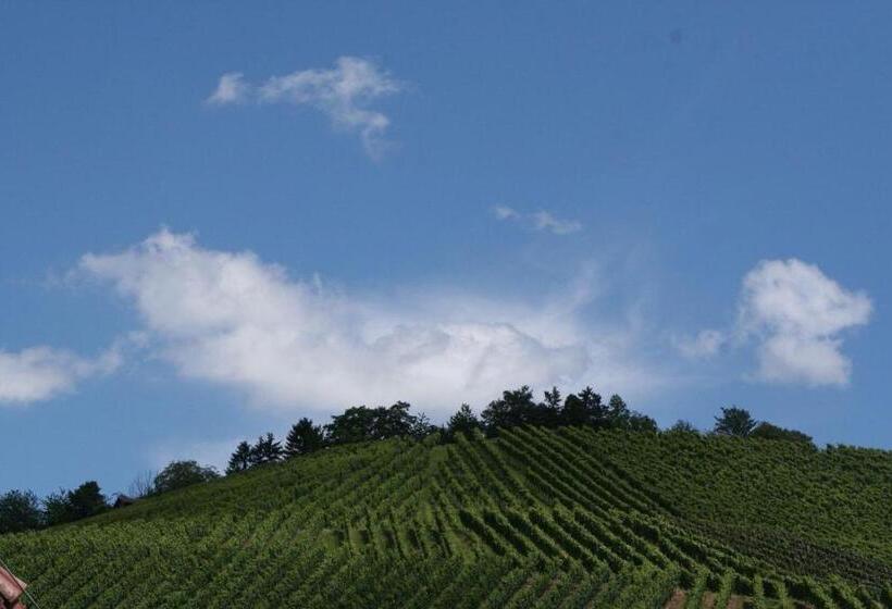 スタンダードルーム, Pension Adler Untertürkheim