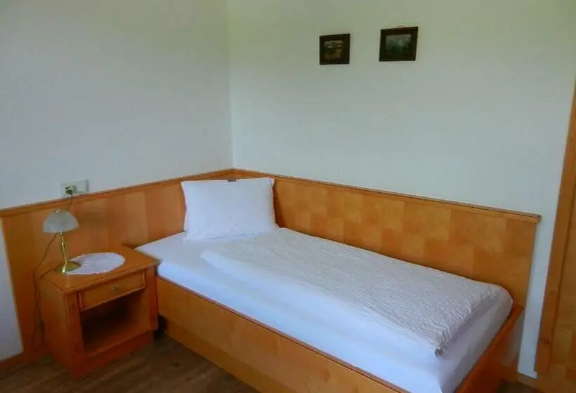 スタンダードシングルルーム, Pension Apartment Hödner